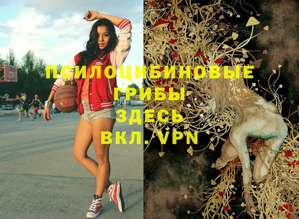 дурь Киреевск