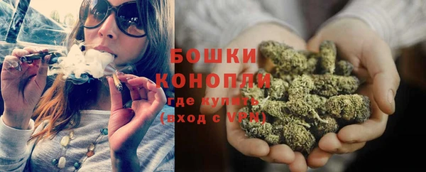 дурь Киреевск
