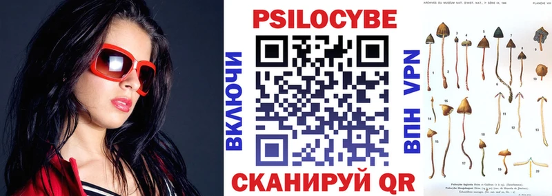 Купить где  Новоалександровск  Галлюциногенные грибы Psilocybine cubensis 